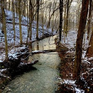 Meet your Posher, Rodney